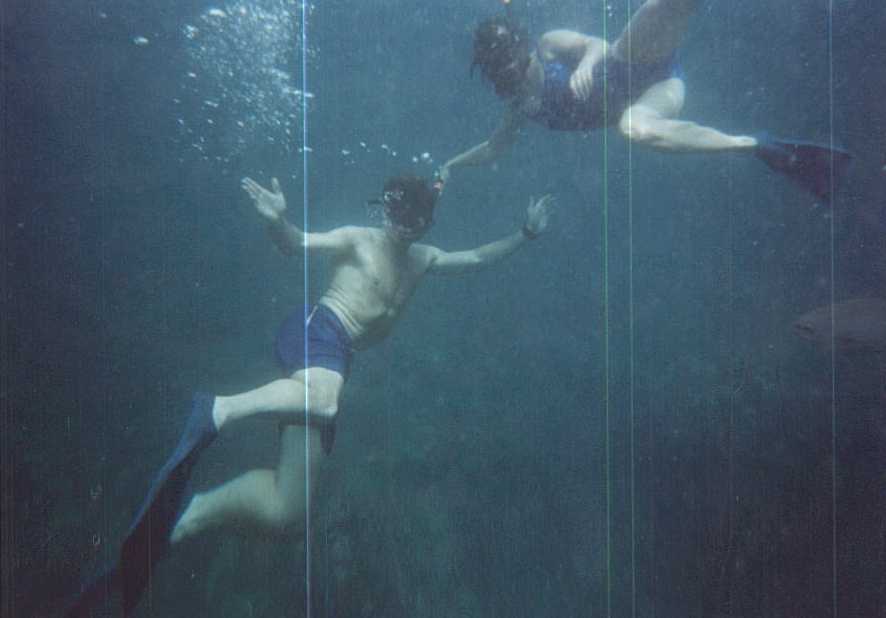 snorkle_1.jpg (28408 bytes)